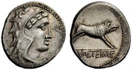 ROMAN REPUBLICAN COINAGE 
 M. Volteius M.f. Denarius 78, AR 3.94 g. Head of Hercules r., wearing lion’s skin. Rev. Erymanthian boar r.; in exergue, M...
