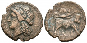 CAMPANIA. Neapolis. Litra. 250-225 a.C. A/ Cabeza laureada de Apolo a izquierda, detrás T. R/ Toro con cabeza de hombre a derecha, sobre él Victoria c...