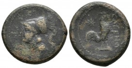 CAMPANIA, Teanum Sidicinum. Ae22. 265-240 a.C. A/ Cabeza de Minerva con casco a izquierda. R/ Gallo estante a derecha, delante CALENO, detrás estrella...