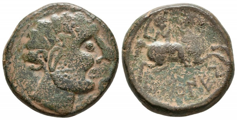 BASCUNES. As. 120-20 a.C. Pamplona. A/ Cabeza masculina a derecha, delante delfí...