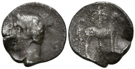 CARTAGONOVA. Shekel. 220-205 a.C. Cartagena (Murcia). A/ Busto masculino a izquierda. R/ Caballo parado a derecha, detrás palmera. FAB-535. Ar. 6,87g....