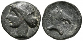CARTAGONOVA. Calco. 220-215 a.C. Cartagena (Murcia). A/ Cabeza de Tanit a izquierda. R/ Cabeza de caballo a derecha. FAB-514. Ae. 8,63g. MBC.