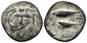 GADES. Calco. 300-200 a.C. Cádiz. A/ Cabeza de Melkart de frente con piel de león. R/ Dos atunes a izquierda, letra fenicia Alef entre ambos. FAB-1336...
