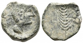 SEARO. Semis. 120-50 a.C. Utrera (Sevilla). A/ Cabeza masculina con piel de león a derecha. R/ Espiga. FAB-2113. Ae. 5,80g. MBC+. Rara.