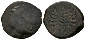 TINGI. 118-33 a.C. Mauretania. Tiempos de Bocchus I, Sosus o Bocchus II. A/ Cabeza barbada a derecha. R/ Tres espigas y leyenda neopúnica TNG. Mazard ...