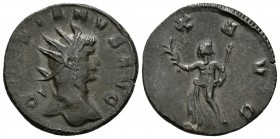 GALIENO. Antoniniano. 260-261 d.C. Roma. A/ Busto radiado con coraza a derecha. GALLIENVS AVG. R/ Pax en marcha a izquierda portando rama de olivo y c...