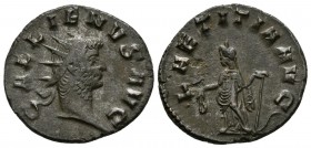 GALIENO. Antoniniano. 263d.C. Mediolanum. A/ Busto radiado a derecha. GALLIENVS AVG. R/ Laetitia estante a izquierda portando corona de laurel y antor...