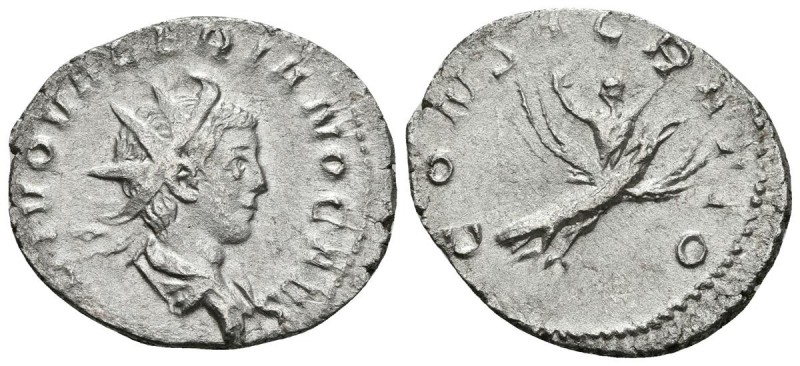 VALERIANO II. Antoniniano. 258 d.C. Colonia Agrippinensis (Cologne). A/ Busto ra...