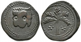 REINO DE SICILIA. Guglielmo II. 2 Follaro. 1166-1189 d.C. Palermo o Messina. A/ Cabeza de león de frente. R/ Palmera con frutos. MEC 425-31. Ae. 10,62...