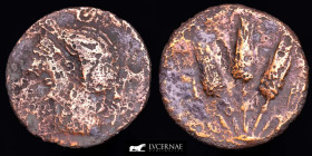 Tingis (Mauretania) Bronze Æ 22 4 g., 22 mm. Tingis II-I c. BC Fine
