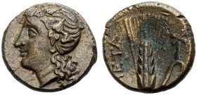 LUKANIEN. METAPONT. 
Bronze, 3. Jh. v. Chr. Kopf des Dionysos mit Efeukranz und langen Haaren n.l. Rv. META Ähre mit Blatt r., darüber "Kreuzfackel"....