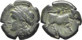 CAMPANIA-NEÁPOLIS. AE 19. 275-250 a.C. Pátina verdosa