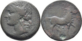 CARTAGO-ZEUGITANIA. AE 27. 201-175 a.C. Pátina marrón verdosa