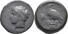 SICILIA-AKRAGAS. Abocaenum. AE 25. 400-380 a.C. Pátina verde oscura. Atractiva. Rara