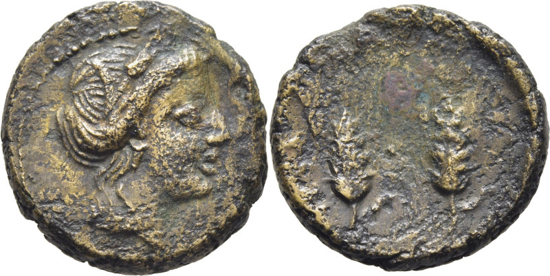 SICILIA-METAPONTO. AE 18. Hacia el 300 a.C. Cabeza de Ceres a derecha. Dos espig...