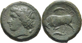 SICILIA-SIRACUSA. Agathokles. AE 21. 317-287 a.C. Pátina verde oscura. Cierto atractivo