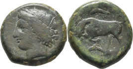 SICILIA-SIRACUSA. Agathokles. AE 23. 317-287 a.C. Pátina verde algo oscura