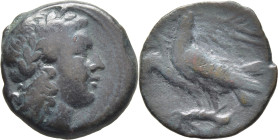 TRACIA-ISTROS. AE 20. S. III-II a.C. Pátina verde oscura