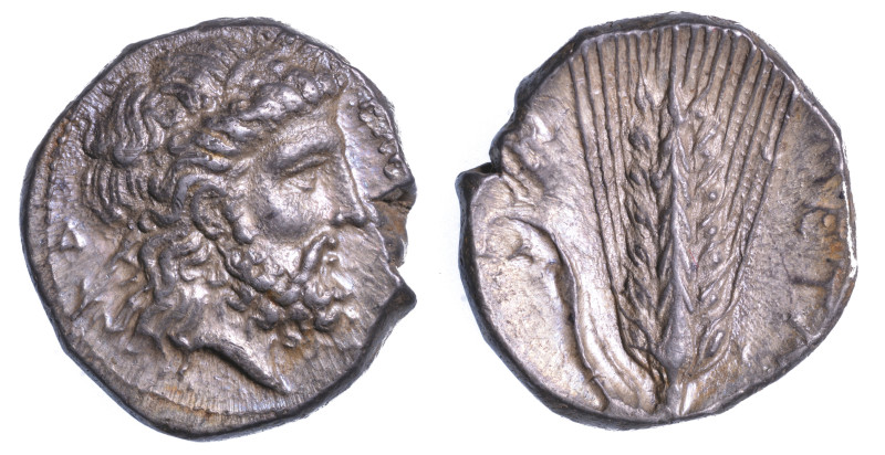 LUCANIA - METAPONTO., Nomos, anni 340-330 a.C.
Testa laureata di Zeus a d.; die...