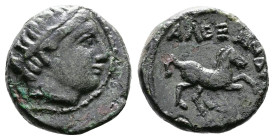 Kings of Macedon, Alexander III 'the Great' 336-323 BC. AE (14 mm, 3,99 g.). Uncertain mint in Macedon. Diademed head of Apollo to right. Rev. ΑΛΕΞΑΝΔ...