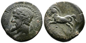 Kings of Numidia. Massinissa or Micipsa, 203-148 BC. or 148-118 BC. AE (27 mm, 12,46 g.). Cirta Laureate and bearded male head to left. Rev. Bridled h...