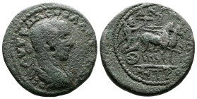 Cilicia, Anazarbos, Severus Alexander, 222-235 AD. AE (27mm, 15,43 g.). CY 248 = 229-230 AD. AYT K M A C AΛEΞANΔPOC, laureate, draped and cuirassed bu...