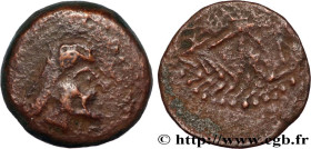 MAURETANIA - MAURETANIAN KINGDOM - BOCCUS I AND SUCCESSORS
Type : Unité 
Date : 118-33 AC. 
Mint name / Town : SMS, Maurétanie 
Metal : bronze 
Diamet...