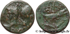 AUGUSTUS and AGRIPPA
Type : Dupondius 
Date : c. 20-14 AC. 
Mint name / Town : Nîmes, Gaule 
Metal : copper 
Diameter : 25,5  mm
Orientation dies : 6 ...