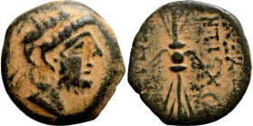 SELEUKID KINGS of SYRIA. Uncertain Syria mint. Antiochus IX Cyzicenus (114-95 BC). AE bronze. Obv.: diademed head of Antiochus right. Rev.: BAΣIΛEΩΣ /...