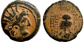 SELEUKID KINGS of SYRIA. Antioch mint . Antiochos VIII Epiphanes (121-96 BC). AE bronze. Obv.:Radiate head of Antiochus VIII right. Rev.: BAΣIΛIΣΣHΣ K...