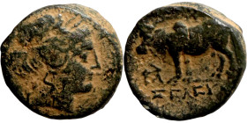 SELEUKID KINGS of SYRIA. Uncertain mint. Seleukos II Kallinikos (246-225 BC). AE bronze. Obv.: laureate head of Apollo to right. Rev.: BAΣIΛΕΩΣ ΣΕΛEYK...