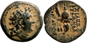 SELEUKID KINGS of SYRIA. Antioch mint. Tryphon (142-138 BC). AE bronze. Obv.: diademed bust of Tryphonos right. Rev.:ΒΑΣΙΛΕΩΣ ΤΡΥΦΩΝΟΣ (AY)ΤΟΚΡΑΤΟΡΟΣ,...
