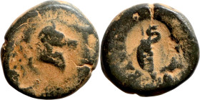 SELEUKID KINGS of SYRIA. Uncertain mint. Antiochus I (ca. 280 to 261 BC). AE bronze. Obv.: Obv: Bridled horse over Athena wearing crested Corinthian h...