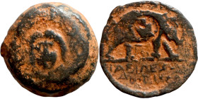 SELEUKID KINGS of SYRIA. Coele, military mint. Antiochus III the Great (223-187 BC). AE bronze. Obv.: macedonian round shield decorated with facing he...