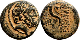 Greek (3rd-1st century BC). AE bronze
16mm 4.00g

Artificial sand patina