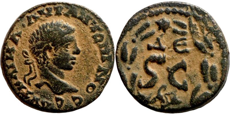 SYRIA. Antioch. Elagabalus (218-222 AD). Ae bronze. Obv.: ΑΥΤ ΚΑ(Ι) Μ(ΑΡ) Α(Υ)(Ρ...