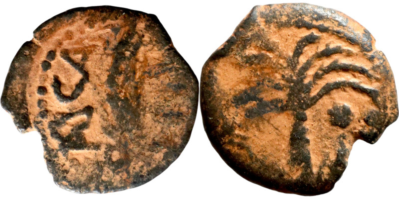 Judaean coin
17mm 1.78g

Artificial sand patina