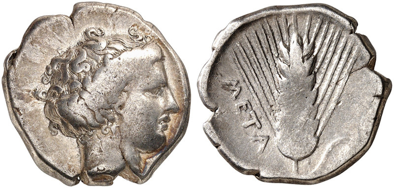 GRIECHISCHE MÜNZEN. LUKANIEN. - Metapontion.&nbsp;&nbsp; 
 Stater, 4. Jhdt. v. ...