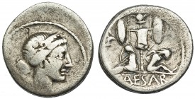 JULIO CÉSAR. Denario. Galia (45-44 a.C.). A/ Cabeza de Venus a der. R/ Trofeo entre Galia y Vercingetorix; CAESAR. FFC-11. SB-13. Anv. descentrado. BC...
