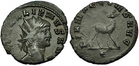 GALIENO. Antoniniano. Roma (267-268). R/ Antílope a der. con cabeza a izq., debajo E. RIC-176. CH-153. Vanos de acuñación. MBC+.