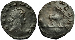 GALIENO. Antoniniano. Roma (253-268). R/ Cabra avanzando a der.; debajo S; IOVI CONS. AVG. RIC-180. CH-163. Acuñación floja. MBC-.