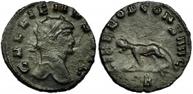 GALIENO. Antoniniano. Roma (267-268). R/ Pantera avanzando a izq., debajo B; LIBERO P. CONS. AVG. RIC-230. CH-586. MBC.
