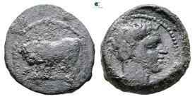 Sicily. Gela circa 420-405 BC. 
Tetras Æ

20 mm, 4,73 g



Good Fine