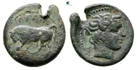 Sicily. Gela circa 420-405 BC. 
Tetras Æ

19 mm, 4,27 g



Very Fine