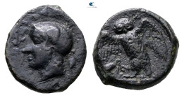 Sicily. Kamarina circa 420-405 BC. 
Tetras Æ

15 mm, 3,51 g



Very Fine