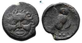 Sicily. Kamarina circa 420-405 BC. 
Tetras Æ

18 mm, 4,78 g



Very Fine