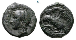 Sicily. Kamarina circa 410-405 BC. 
Tetras Æ

15 mm, 3,04 g



Very Fine