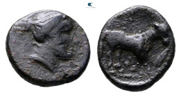 Sicily. Nacona circa 425-375 BC. 
Bronze Æ

13 mm, 1,82 g



Very Fine