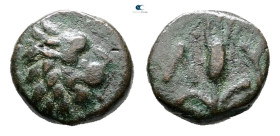 The Thracian Chersonese. Lysimacheia circa 356-306 BC. 
Bronze Æ

10 mm, 1,33 g



Very Fine