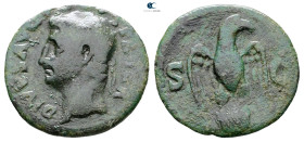 Divus Augustus AD 14. Rome
As Æ

28 mm, 8,06 g



Fine